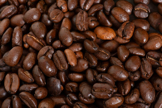 coffee beans in studio