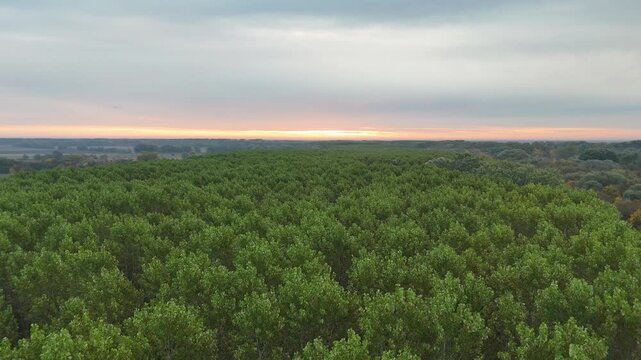 Aerial drone of morning sun over green forest canopy Tisza Lake