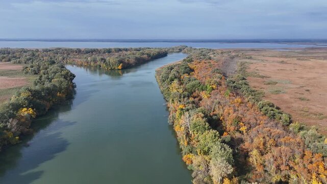 Aerial drone view of Tisza Lake with lush green trees