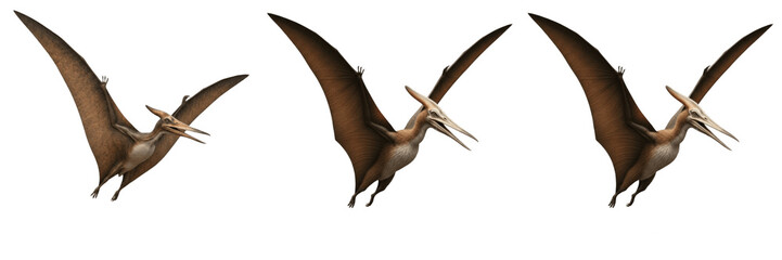 Flying Pterodactyl Dinosaur Figure PNG - Prehistoric Pterosaur Wings Spread Isolated on Transparent Background for Fantasy and History Art © michael