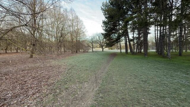 Dormant trees stand guard along a quiet, snow-dusted trail in the park. This winter scene feels lonely and peaceful as the cold morning air hangs over the still, frozen garden landscape.