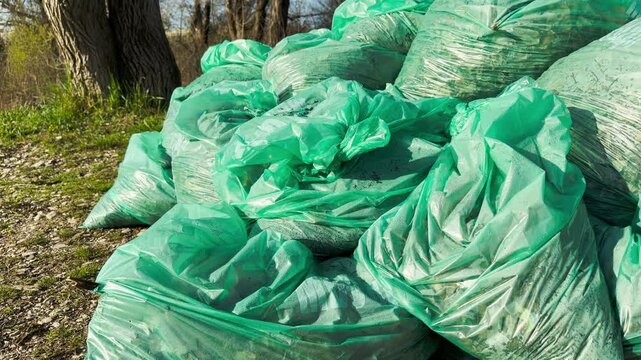 Many full green bags sit on the rocky ground near a calm river. This scene creates a feeling of hope for a cleaner world. It shows a strong effort to protect and care for our natural environment.