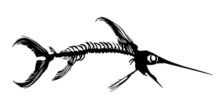 Silhouette of a big skeleton swordfish.
