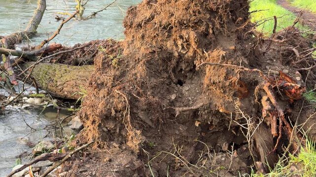 Tangled roots and dark soil hang precariously over a flowing river. This stark image creates a heavy, somber feeling of environmental loss and the raw power of moving water.