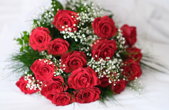 A stunning bouquet of rich red roses is surrounded by sprigs of white filler flowers, creating an enchanting display perfect for celebrations or heartfelt moments.