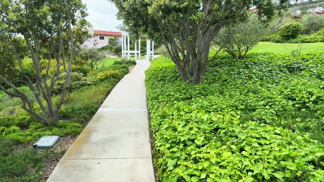 Scenic concrete walkway gently curves through vibrant outdoor park environment. Manicured shrubs and ivy ground cover line path, leading to serene white gazebo. White point park, Terranea Discovery tr