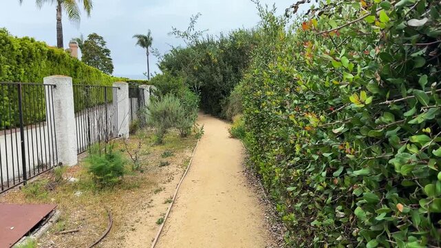 Peaceful journey along winding sandy walking path bordered by vibrant green thick bushes and native plants, passing sturdy fence leading toward distant Pacific Ocean view and residential homes.