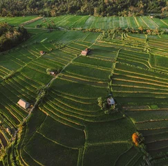 Fototapeten Reisfelder Jatiluwih Rice Terraces on Bali at sunset  © Slava