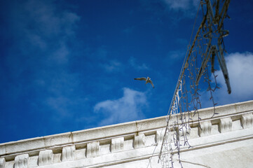 Samotny biały ptak z rozłożonymi skrzydłami lecący nad białym budynkiem na tle pięknego niebieskiego nieba. © Monika