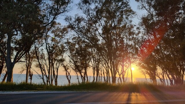 sunset sea trees beams monolithi greece in preveza perfecture