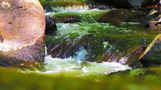 Landscape of a small stream in the Aude department, in the foothills of the Montagne Noire in Occitanie. Dense forest in the South of France.