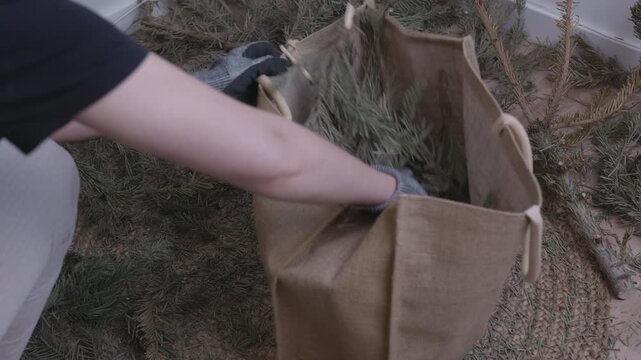 Putting cut Christmas tree branches into garbage bags for disposal.Hands placing cut Christmas tree branches after holiday cleanup. Waste disposal, recycling, home reset and end of festive season.