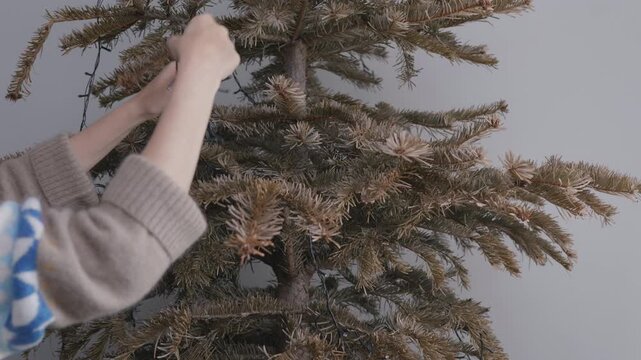 Taking down string lights from Christmas tree, end of festive season.Close-up footage of removing Christmas string lights from a decorated tree after winter holidays. Post-holiday cleanup,home reset.