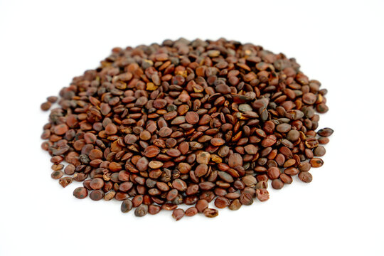 Chinese medicine on a white background, sour jujube kernels