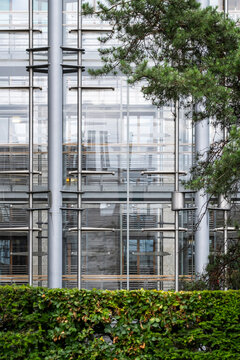 Urban modern architecture focuses on building facade where glass reflections form a pattern while trees and hedge add green foreground
