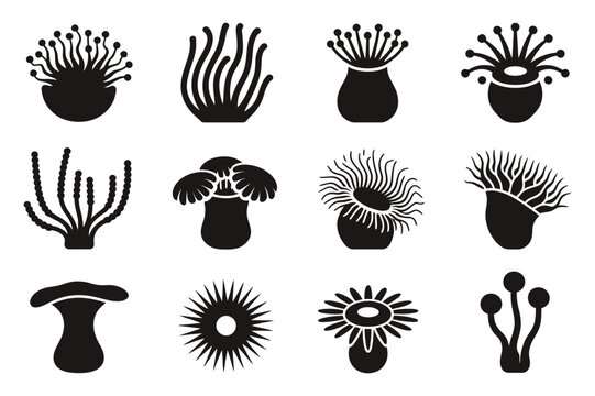 Vibrant sea anemone silhouette vector illustration