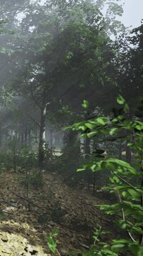 A serene forest is shrouded in soft mist, as the first light of dawn filters through tall trees. Lush foliage and fallen leaves cover the ground, creating a peaceful atmosphere.
