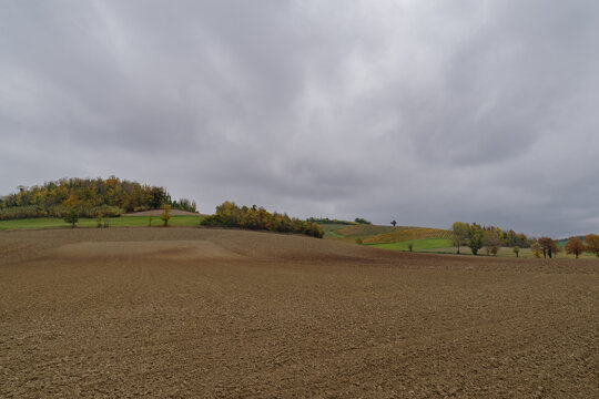 Rural landscape in Monferrato, Italy