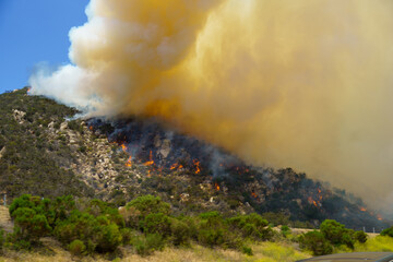 Fototapeta premium A powerful brush fire burns through dry vegetation and chaparral on a rocky mountain slope in the Rainbow and Fallbrook area of North San Diego County. Thick plumes of yellow and white smoke rise into