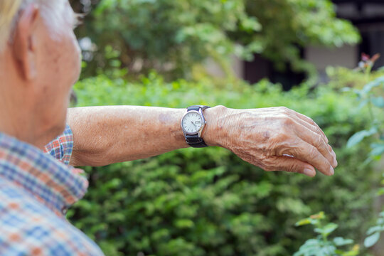 Wrinkled hands with a vintage watch at outdoor. Suggest the passage of time, legacy, and aging.