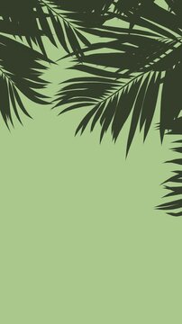 High-Contrast White Palm Leaves Silhouette, Luma Matte for Overlays - 3D rendering vertical video