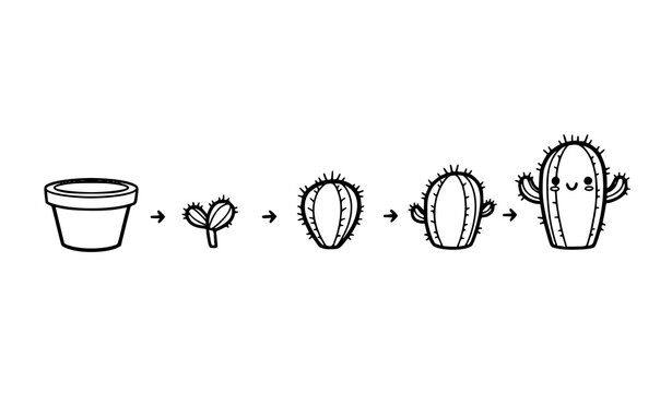 Hand drawn cartoon cactus growth animation sequence with cute doodle plant stages vector illustration