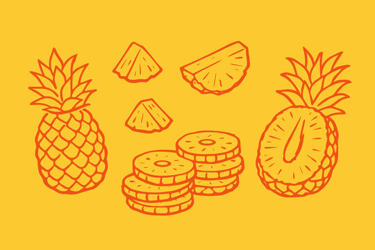 Pineapple fruit doodle vector illustration with whole and sliced tropical pineapple hand drawn icon set