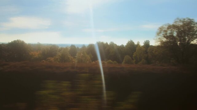 Panoramic view of natural landscape from moving train window. Bright sun flare streaks across scene, blurring foreground. Lush trees and foliage dominate middle ground, clear sky on horizon. Capturing