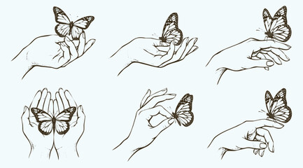Hand Drawn Professional Illustration Set of Hands with Resting Butterfly © Avartde