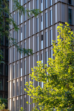 Trees meet glass in Stockholm Hagastaden where modern urban architecture shapes an office facade and strong lines define a greener city district scene