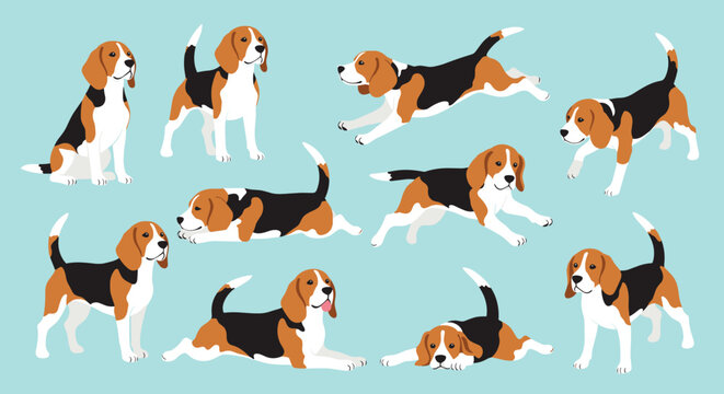 Adorable beagle dogs in various active and resting poses including running, sitting, and lying down on a light blue background.