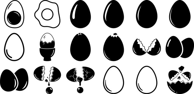 Black and white illustrations of various egg types and states