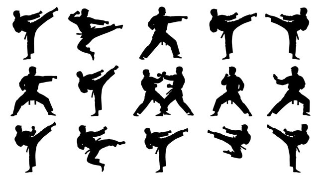 Silhouettes of people doing karate kicks.
