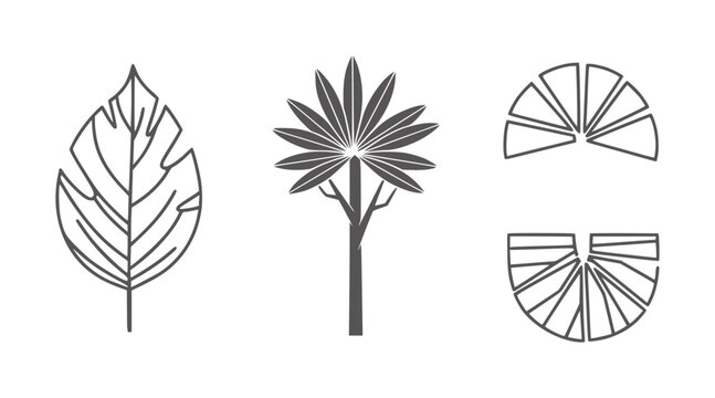 Stylized tropical leaf palm tree and fan shapes in dark grey