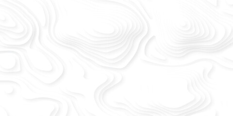 white topography map geography relief diagram texture design. Topography white background and black line world map texture design. Lines Topographic contour lines grid map seamless pattern. © MDFAIMIDULISLAM