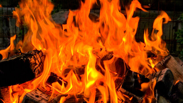 Bright orange and red flames burning wood logs in outdoor bonfire, vivid fire texture background with glowing embers closeup