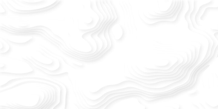 white topography map geography relief diagram texture design. Topography white background and black line world map texture design. Lines Topographic contour lines grid map seamless pattern.