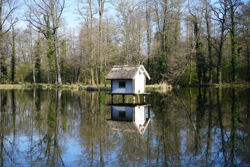 Die Wohnung der Wasservögel in einem Park © hecht7