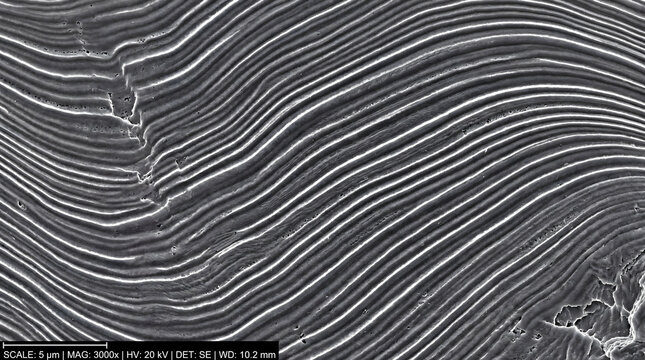 Scanning electron microscope imaging showing undulating surface texture