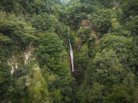 Aerial view of a thin waterfall cascading down a steep valley surrounded by lush green laurel forest Ribeiro Frio, Madeira, Portugal.