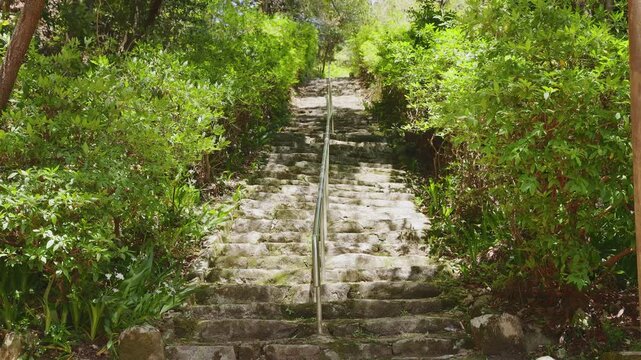 新緑の森に続く苔むした古い石階段と木漏れ日（佐賀県）