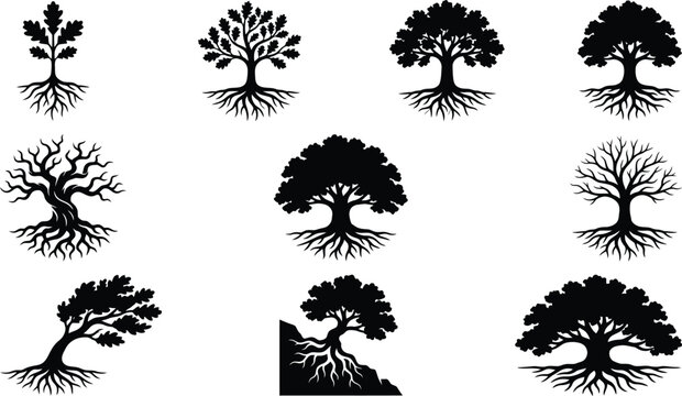 Sammlung von zehn schwarzen Baum-Silhouetten mit sichtbaren Wurzeln auf wei&szlig;em Hintergrund.