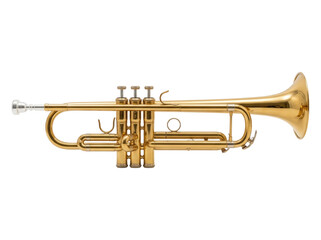 Fototapeta premium Trumpet isolated on white background
