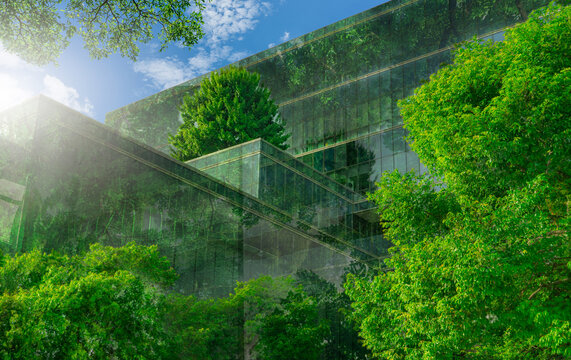 Eco-friendly building with vertical garden in modern city. Green tree forest on sustainable glass building. Energy-saving architecture with vertical garden. Office building with green environment.