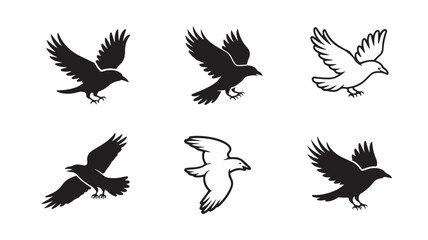 Fototapeta premium Set of black and white bird silhouettes representing crows or ravens in flight poses for design