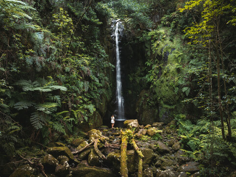 Aerial view of Rabo do Burro waterfall with a person standing at the base surrounded by lush ferns and mossy rocks in a dense forest in Ponta Delgada, Madeira, Portugal.