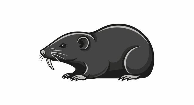 Cartoonish grey rodent with large teeth and whiskers on white