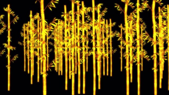 夕日に照らされた竹林が流れていく、4K画質、背景透過のループ映像素材