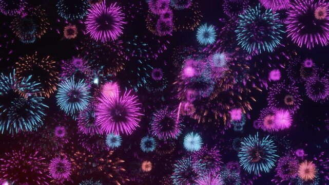 Colorful blue and pink starburst fireworks exploding on black background during Guy Fawkes Night celebration, vibrant py