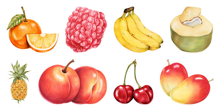 PNG Colorful tropical fruit illustration on transparent background